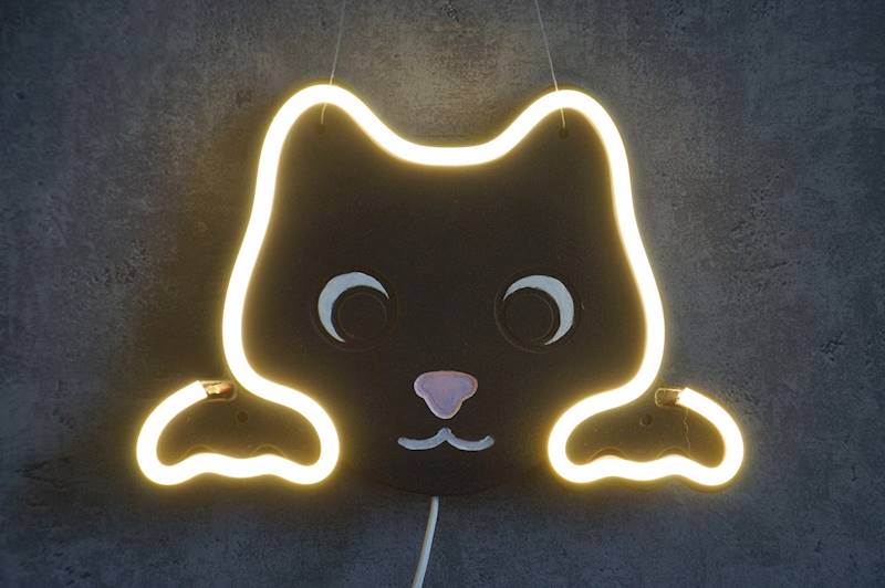 neon Kot słodki z buźką 20x14 cm