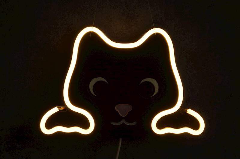 neon Kot słodki z buźką 20x14 cm