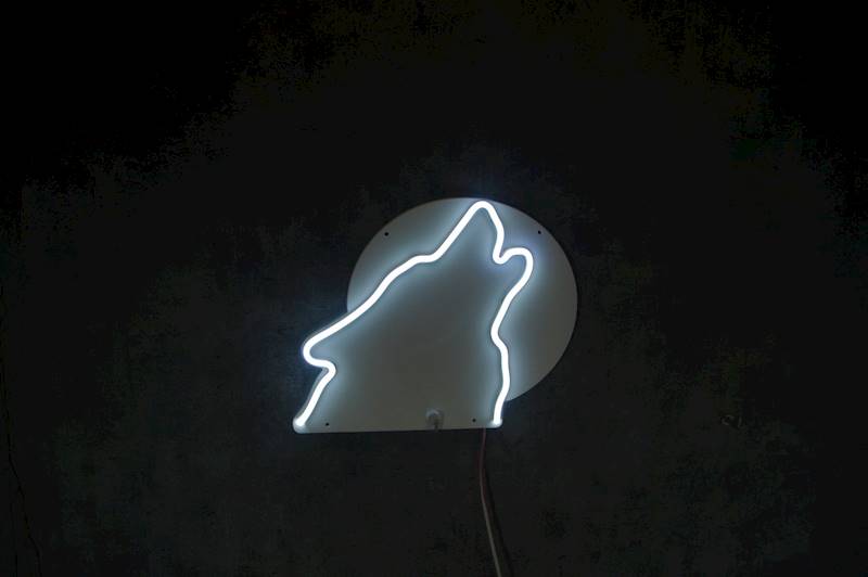 neon Wilk 28x23cm