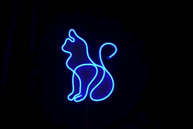 neon Kot artystyczny 23x30cm 