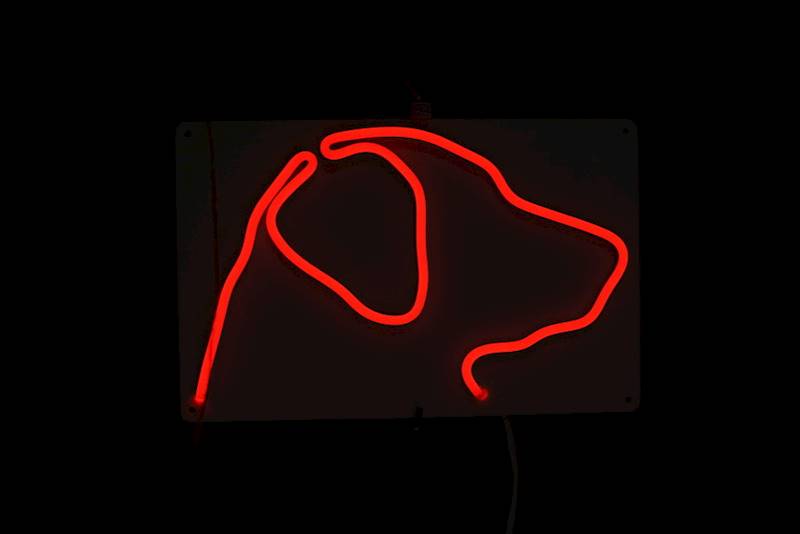 neon Labrador 28x18cm 