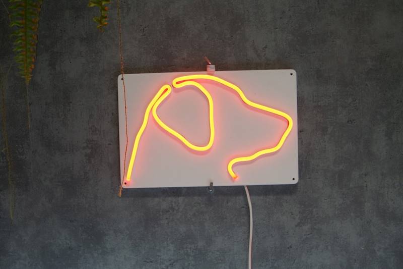 neon Labrador 28x18cm 