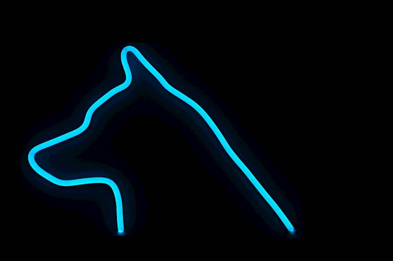neon Husky 27x20cm 