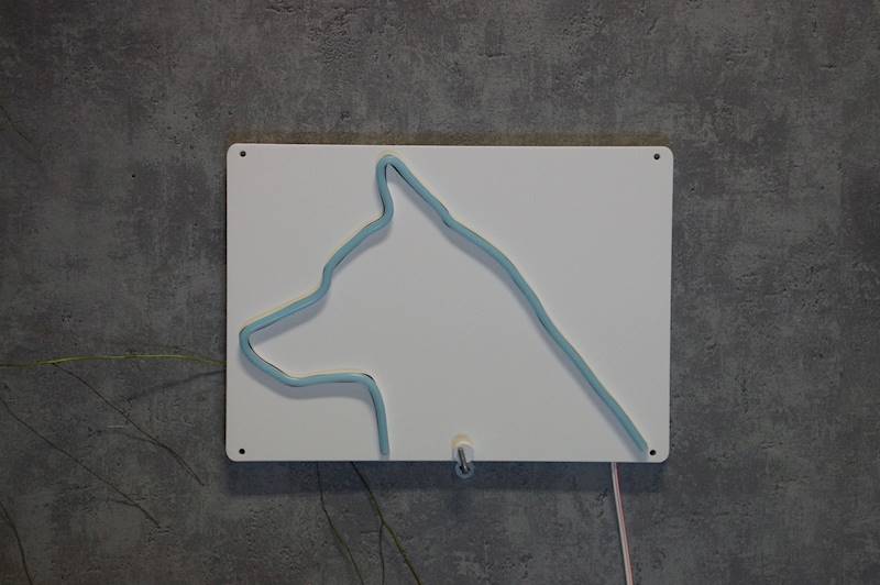 neon Husky 27x20cm 