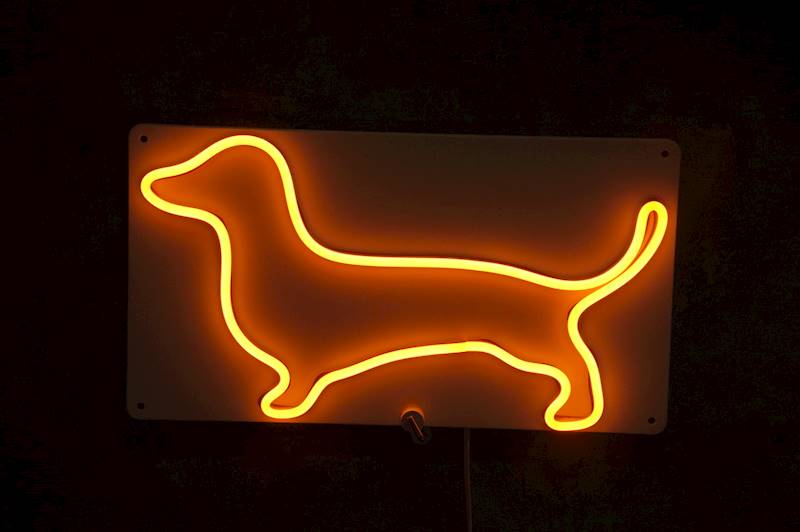neon Jamnik 30x17 cm 