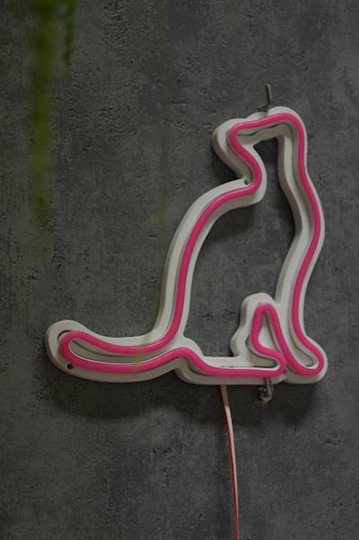 neon Kot w zadumie, szkieletowy, 20x20 cm