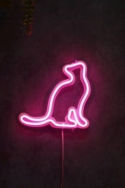 neon Kot w zadumie, szkieletowy, 20x20 cm