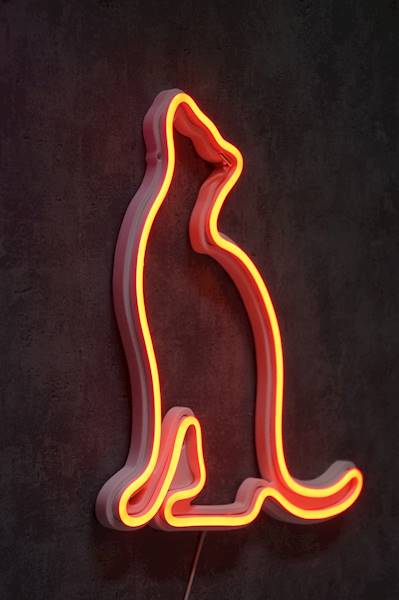 neon Kot w zadumie, szkieletowy, 29x29 cm