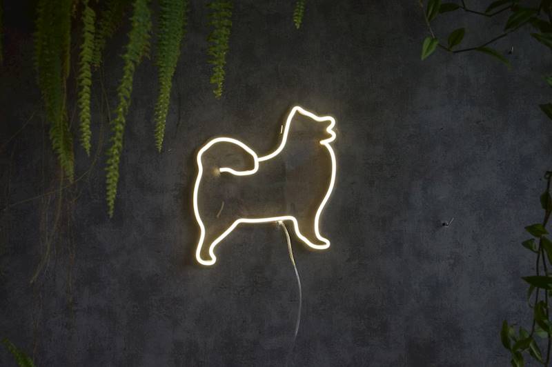 neon Samoyed 31x29cm 