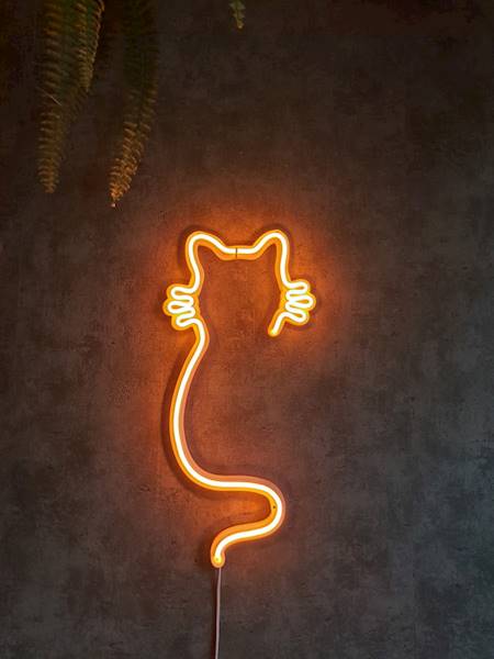 neon Kot wąsaty,  RGB, 21x44 cm