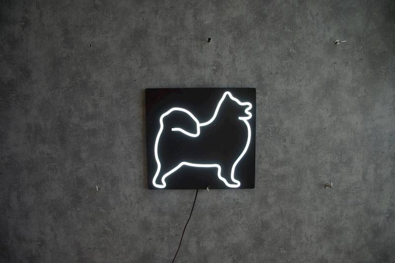 neon Samoyed, czarny, 30x28cm 