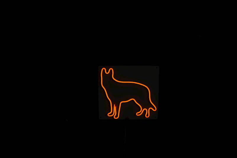 neon Owczarek patrzący 27x30cm
