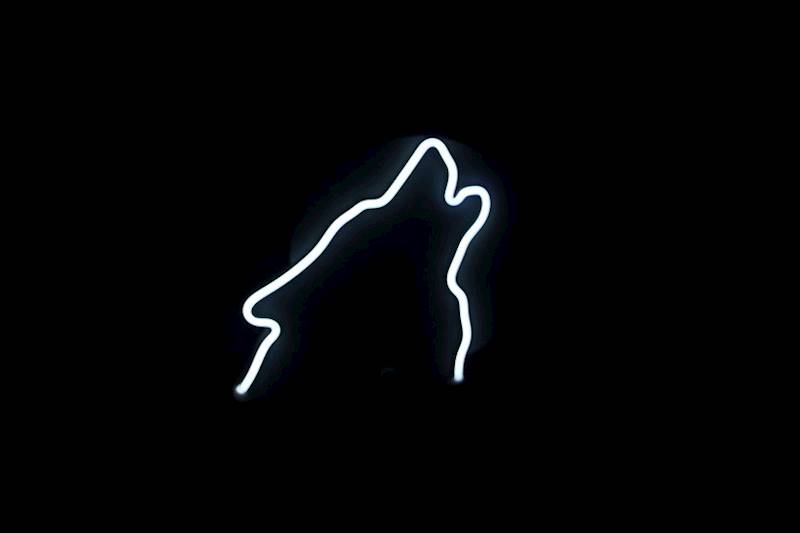 neon Wilk, czarny 28x23cm