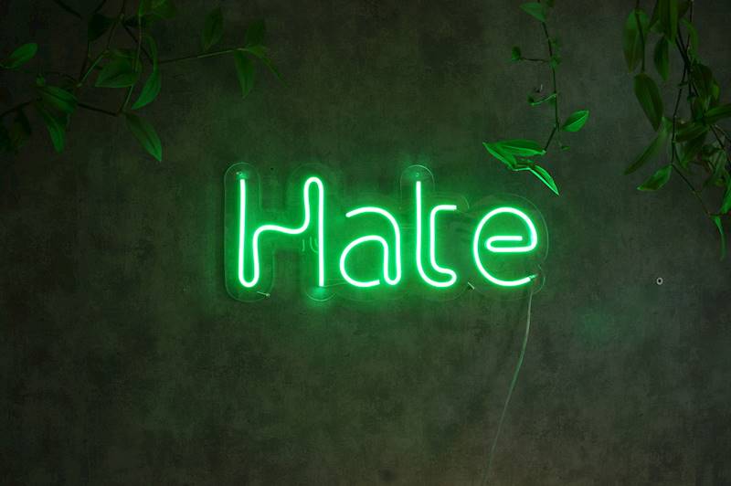 neon Hate 22x52cm