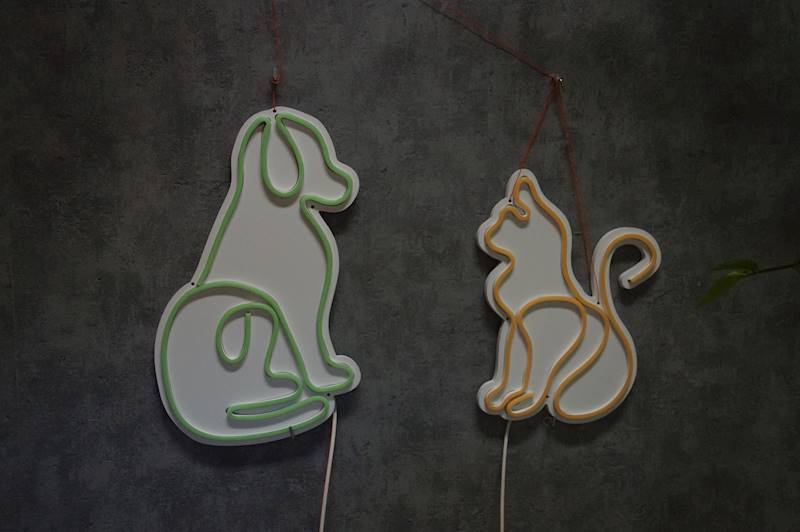 neon Kot i Pies 50x37cm 