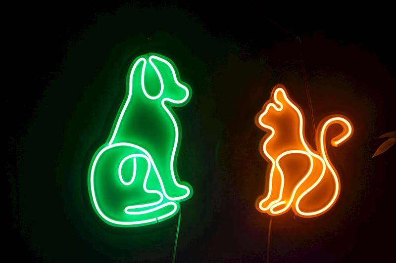 neon Kot i Pies 50x37cm 