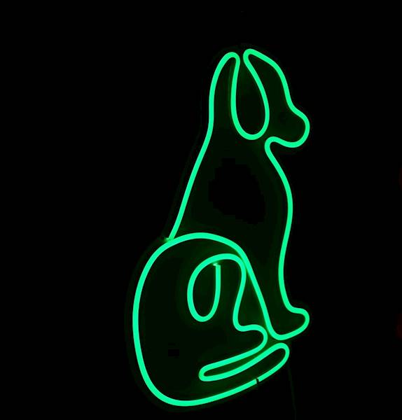 neon Pies 27x37cm