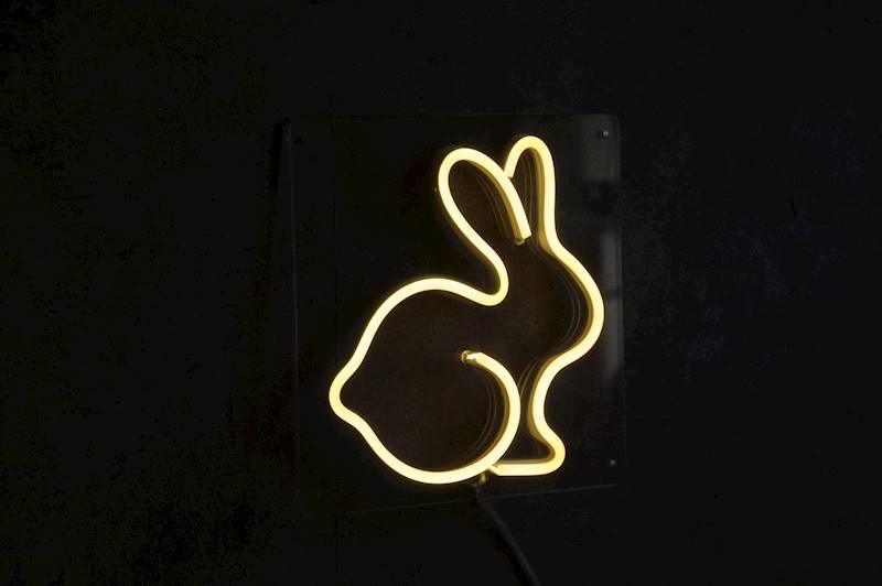 neon Królik, przezroczysty, 20x20 cm