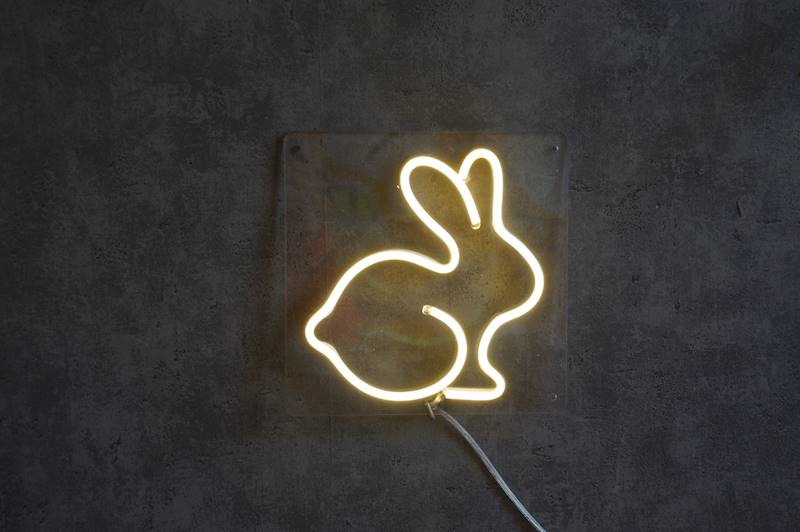 neon Królik, przezroczysty, 20x20 cm