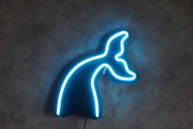 neon Ogon morski 20x22cm