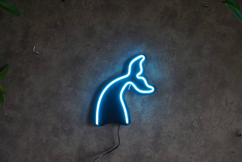 neon Ogon morski 20x22cm
