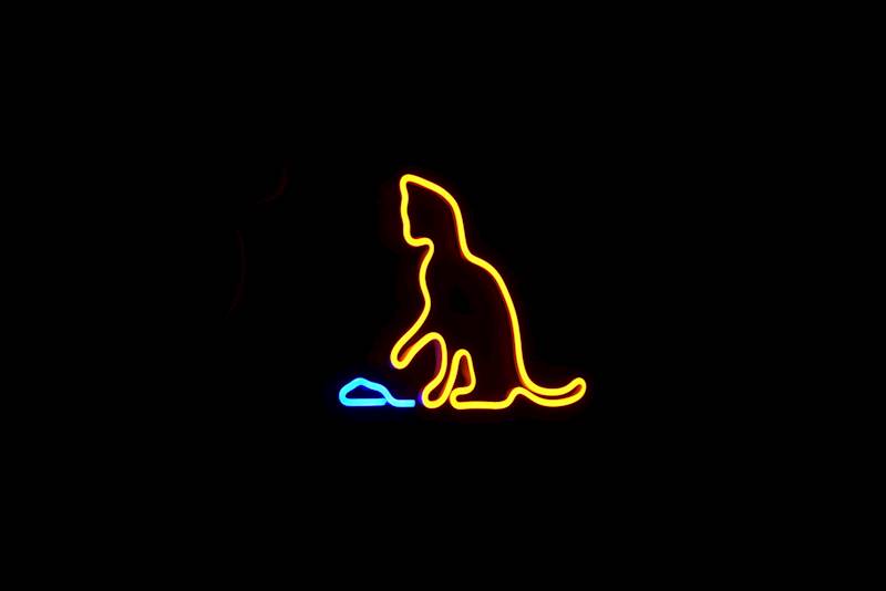 neon Kot i mysz 29x21cm