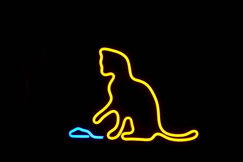 neon Kot i mysz 29x21cm