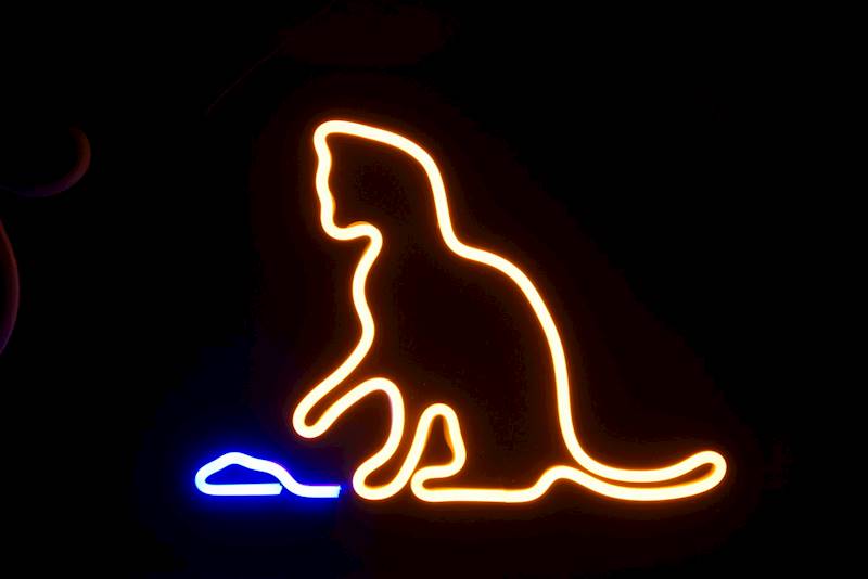 neon Kot i mysz 29x21cm