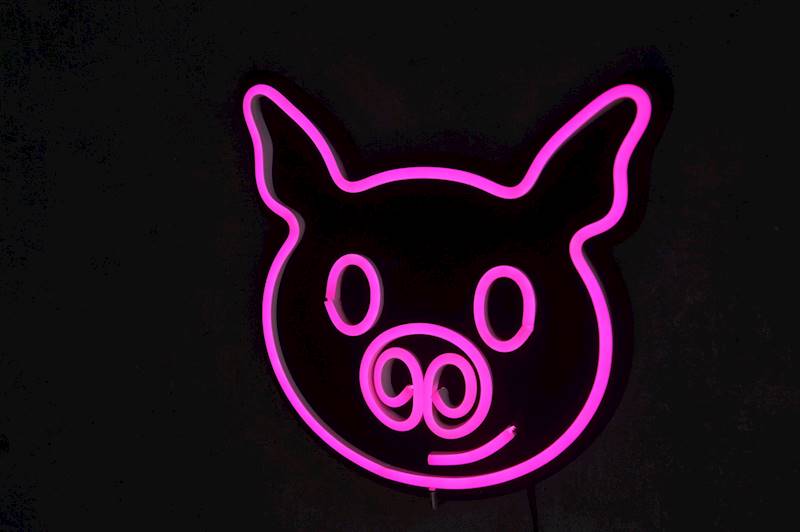 neon Świnka 23x22cm