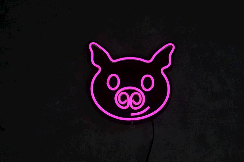 neon Świnka 23x22cm