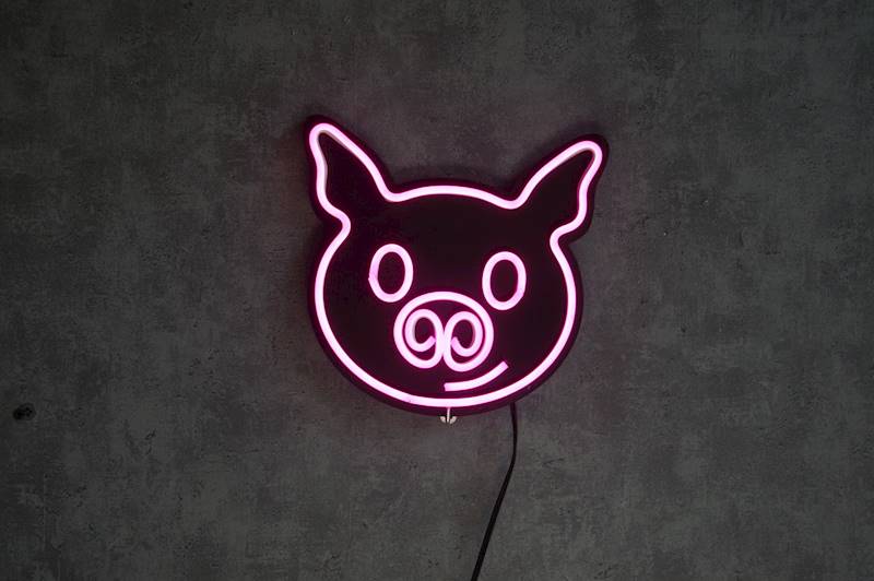 neon Świnka 23x22cm