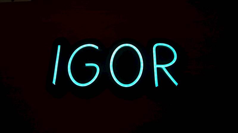 neon z zasilaczem w środku, Igor, 30x14cm