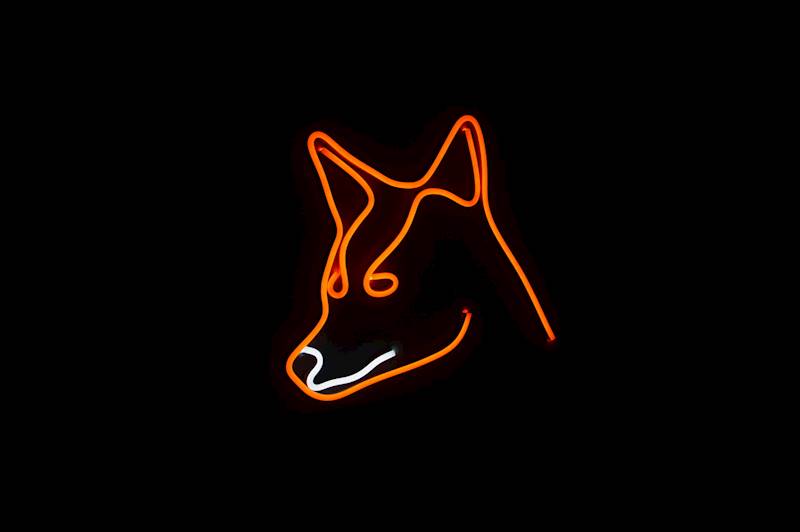 neon Lis 29x25cm