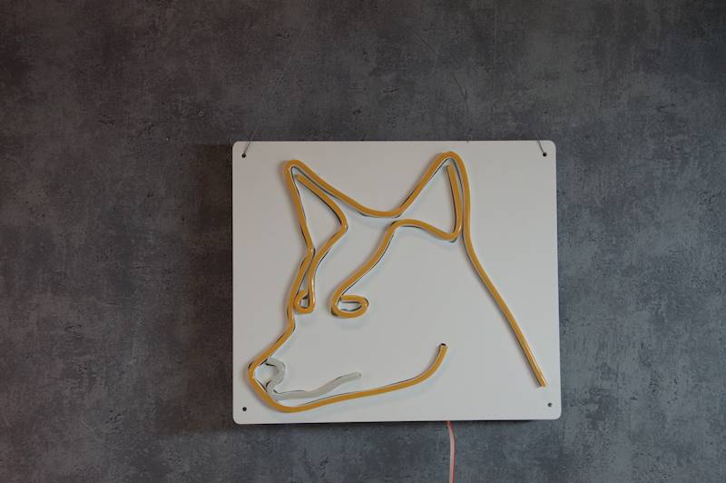 neon Lis 29x25cm