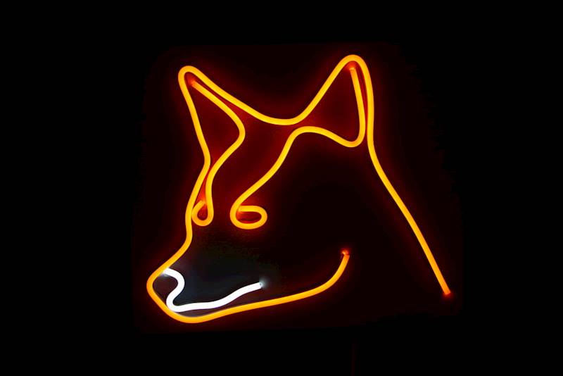 neon Lis 29x25cm