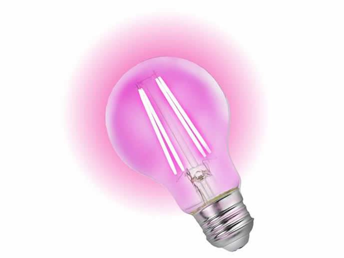 Żarówka LED E27 9W do roślin