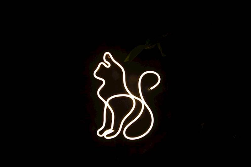 neon Kot artystyczny 23x30cm