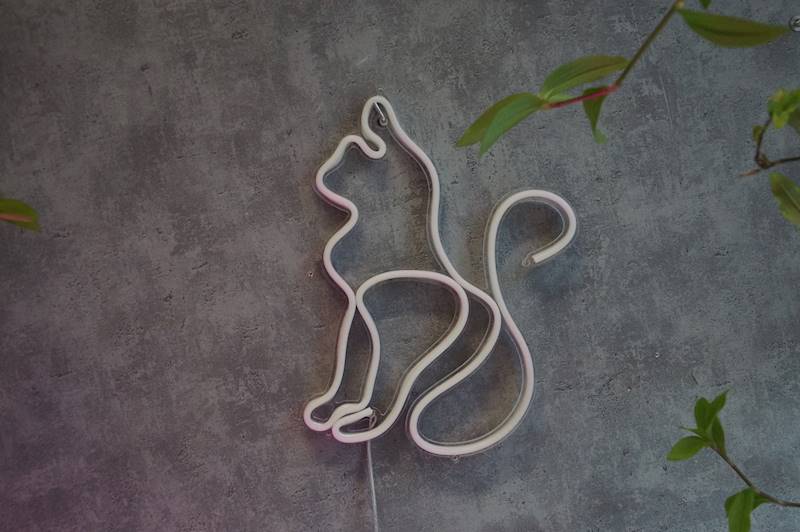 neon Kot artystyczny 23x30cm