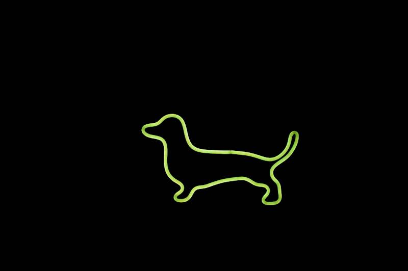 neon Jamnik RGB 30x17 cm