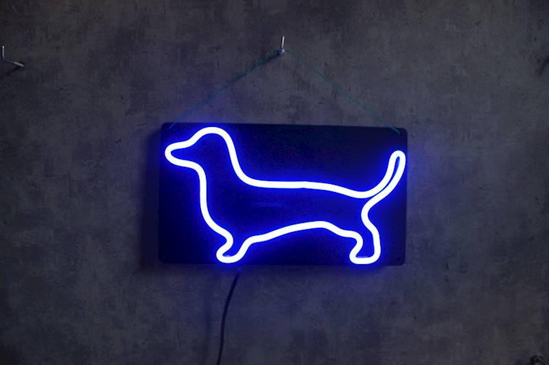 neon Jamnik RGB 30x17 cm