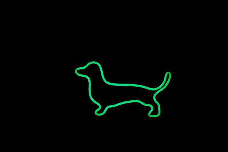 neon Jamnik RGB 30x17 cm