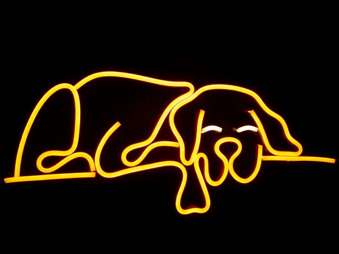 neon śpiący Boxer 45x19cm