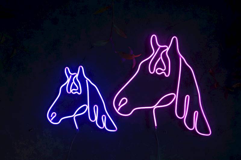 neon Duży koń, przezroczysty 50x48cm