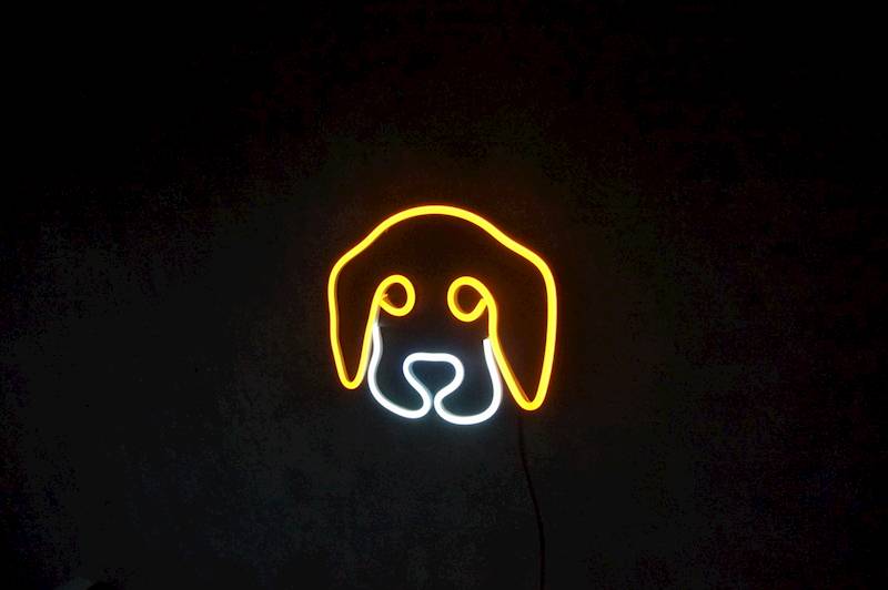 neon Piesek słodki 20x17cm