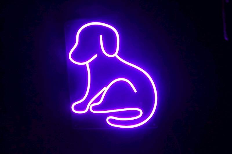 neon Piesek większy, przezroczysty, 24x30cm