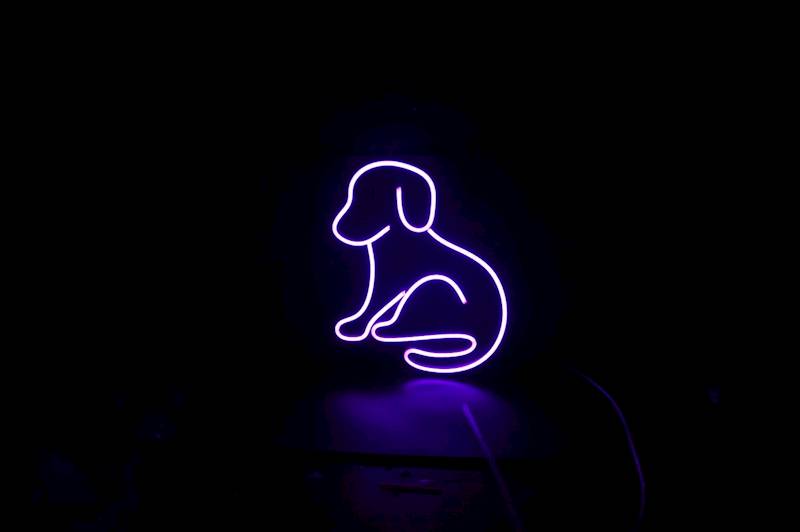 neon Piesek większy, przezroczysty, 24x30cm