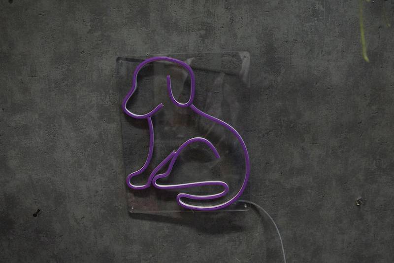 neon Piesek większy, przezroczysty, 24x30cm