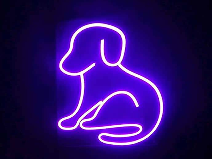 neon Piesek większy, przezroczysty, 24x30cm