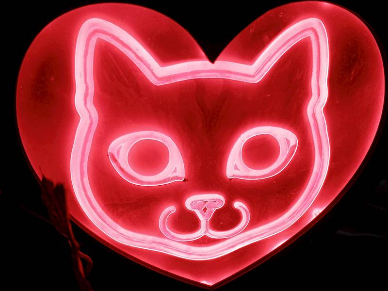 neon karwingowy, Kot Budzący się, 14x14cm 