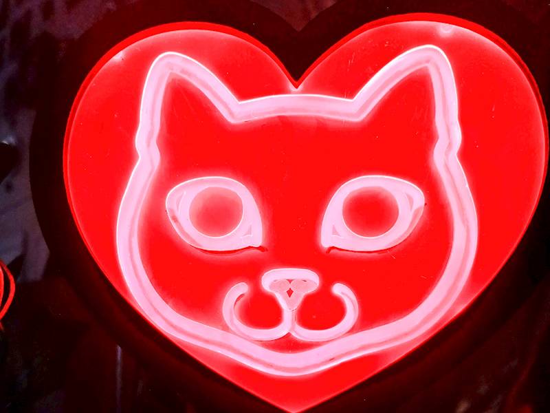 neon karwingowy, Kot Romantyczny 14x14cm 